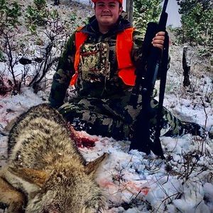 Meet your Posher, Conner